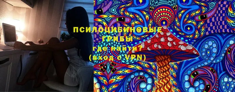 Галлюциногенные грибы Psilocybine cubensis  Лабытнанги 